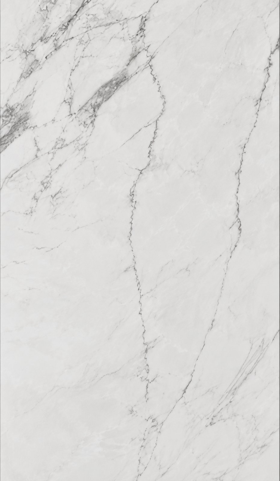 Tile 120x60. White Marble with Natural Veining